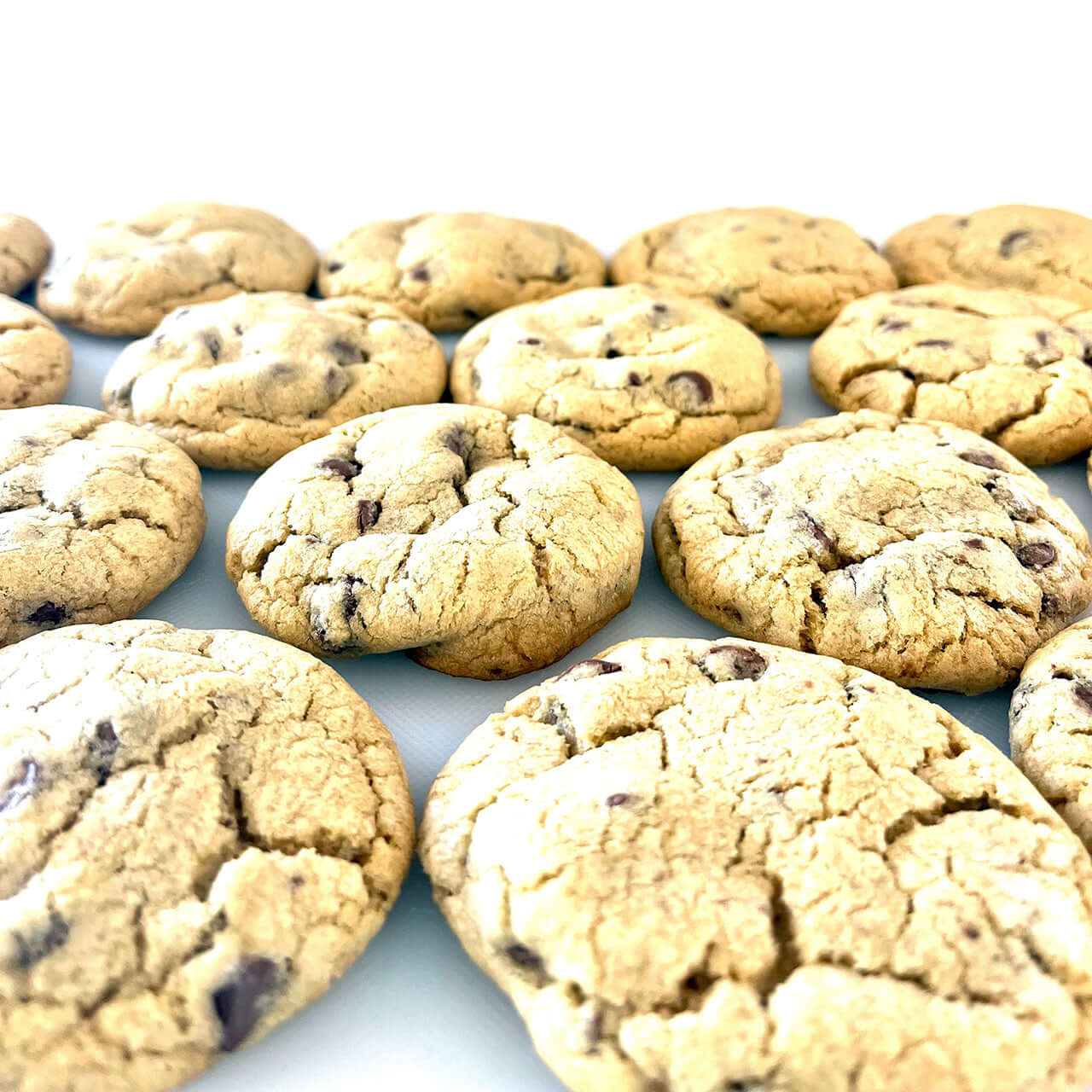 Chocolate Chip Cookies - 1 Dozen