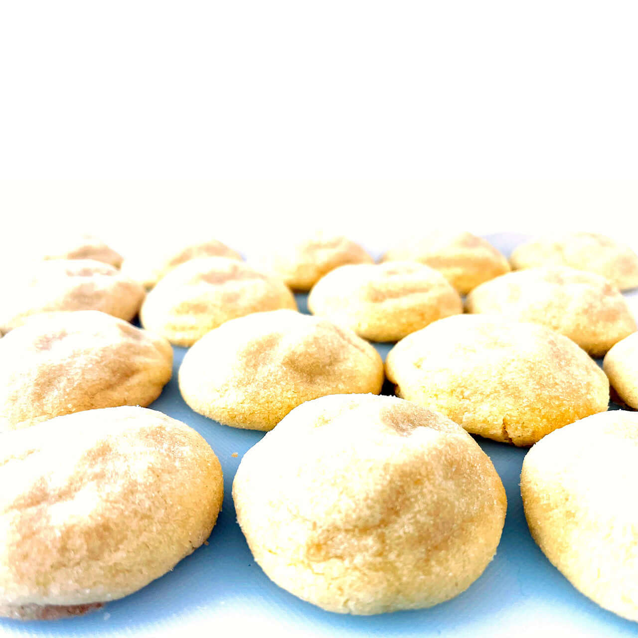 sugar cookie - 1 dozen