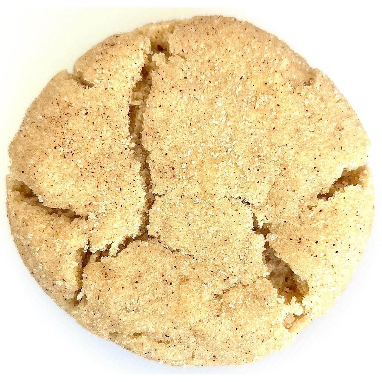 Gluten Free Snickerdoodle cookie - single